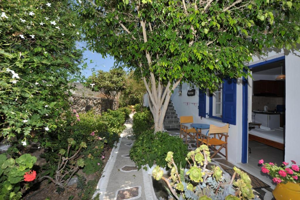 Pension Sofia Amorgos-Katapola Room photo