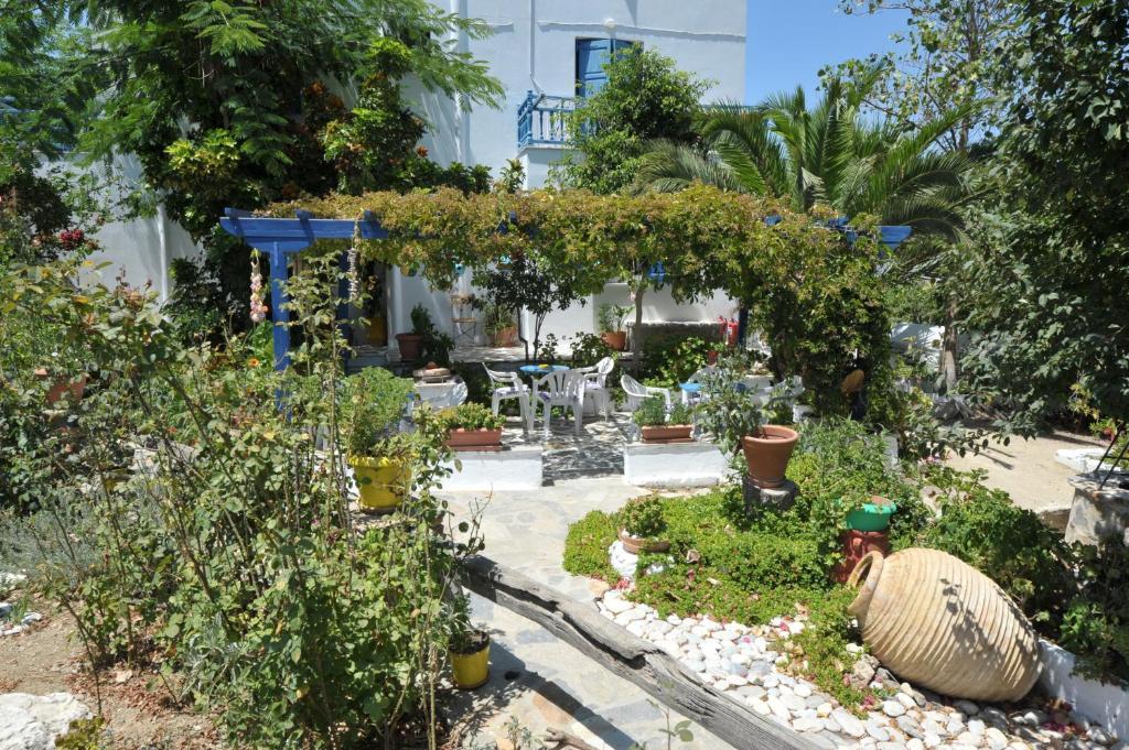 Pension Sofia Amorgos-Katapola Room photo